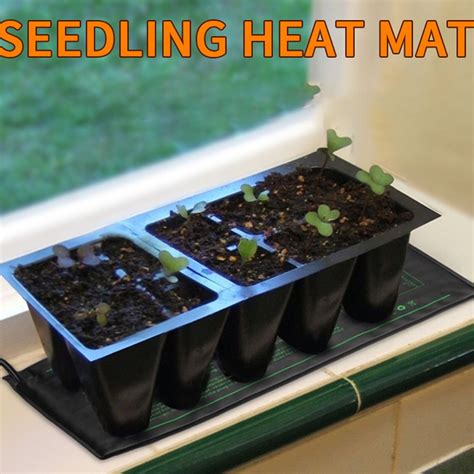 Seeding Preise